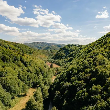 Forest Ghermin Vilă