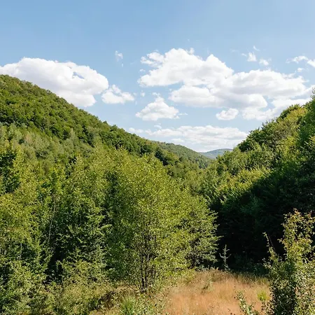 Forest Ghermin Villa Negreni
