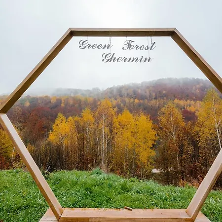Forest Ghermin