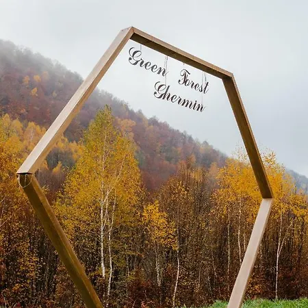 Vilă Forest Ghermin Negreni